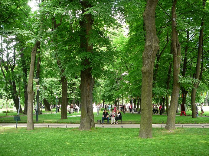 p1740091.jpg