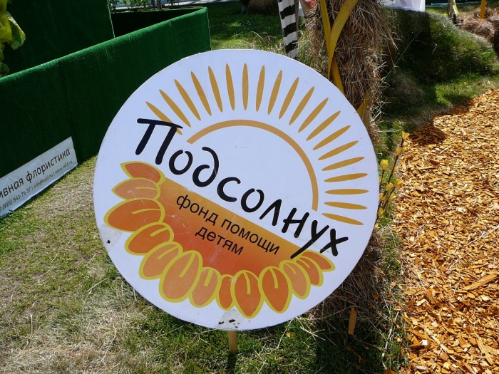p1750722.jpg