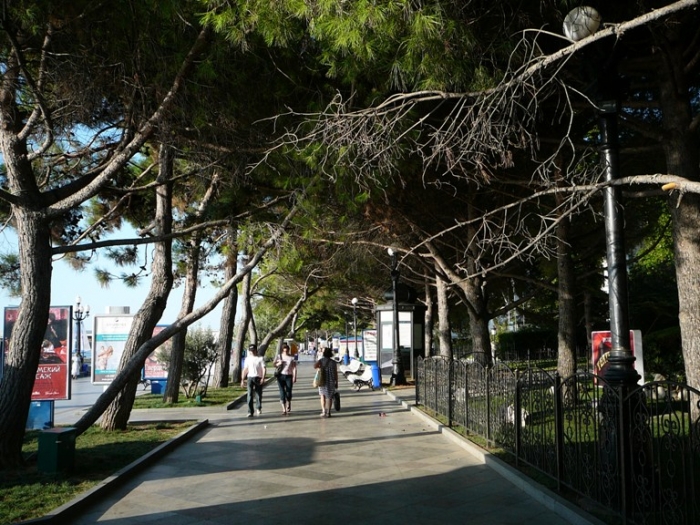 p1770819.jpg