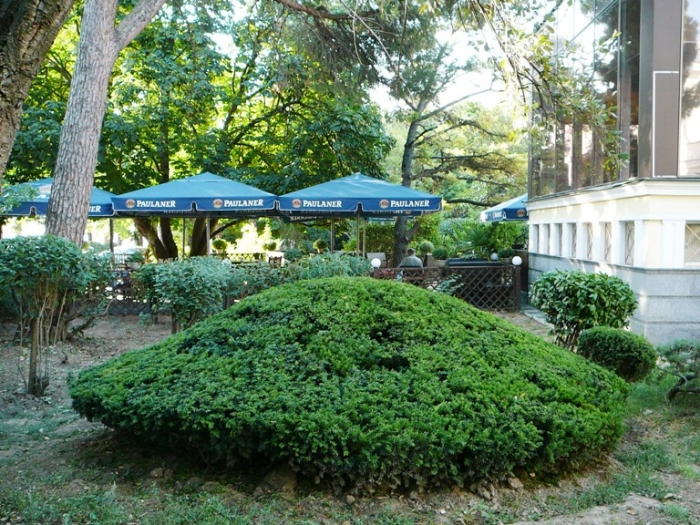 p1770900.jpg