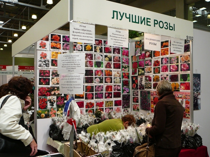 p1780741.jpg