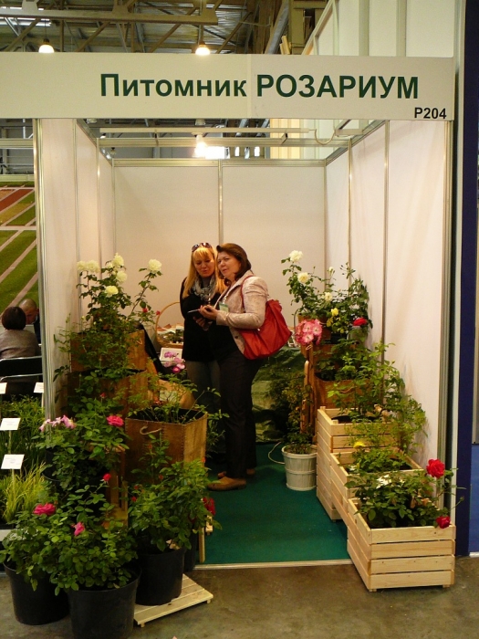 p1780751.jpg