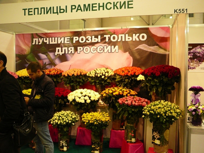 p1780788.jpg