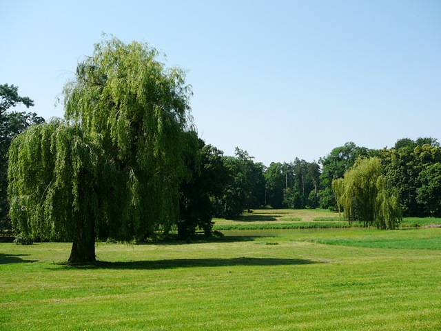 parc_chotek_1.jpg