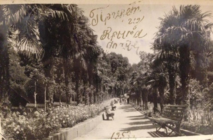 005_alupka_1953.jpg