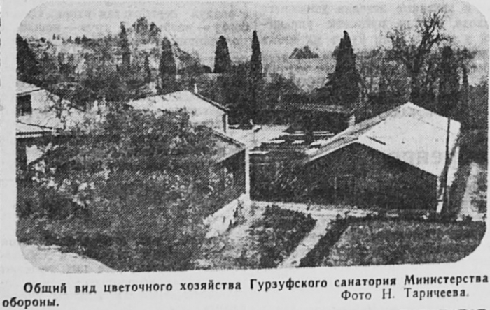 006_gurzuf_1958.jpg