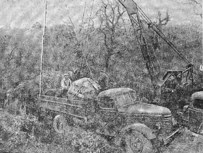 008_1954.jpg