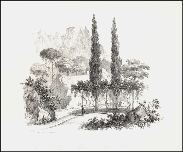 ris._32._alupka_2749_.jpg