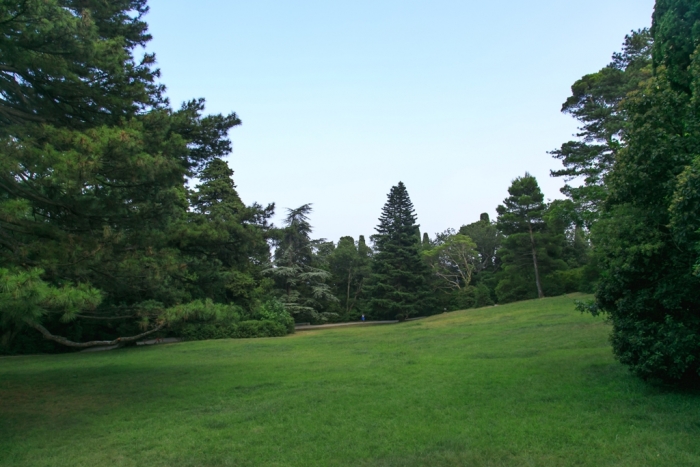 ris._53.jpg