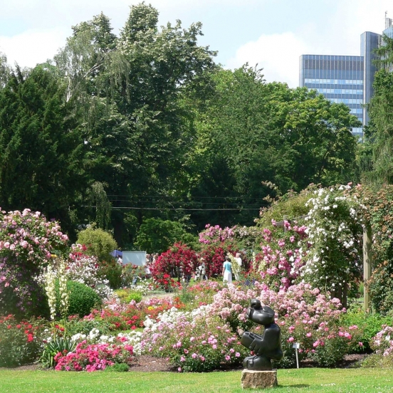 rosarium_dortmund_1.jpg