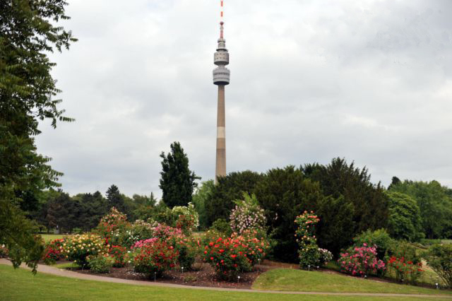 rosarium_dortmund_3.jpg