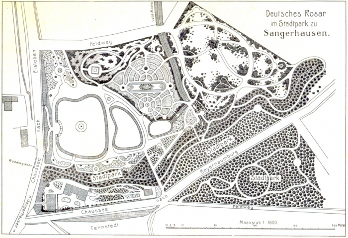 rosarium_europa_001.jpg
