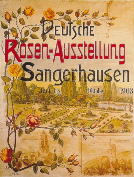 rosarium_europa_003.jpg