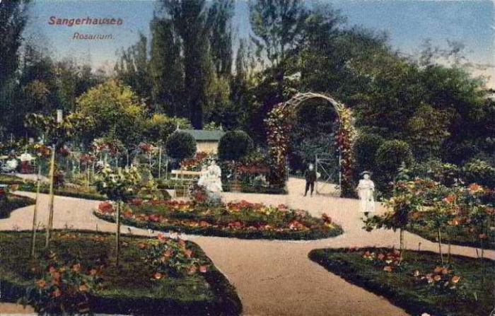 rosarium_europa_005_1908.jpg
