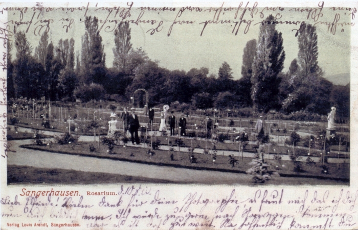 rosarium_europa_011.jpg