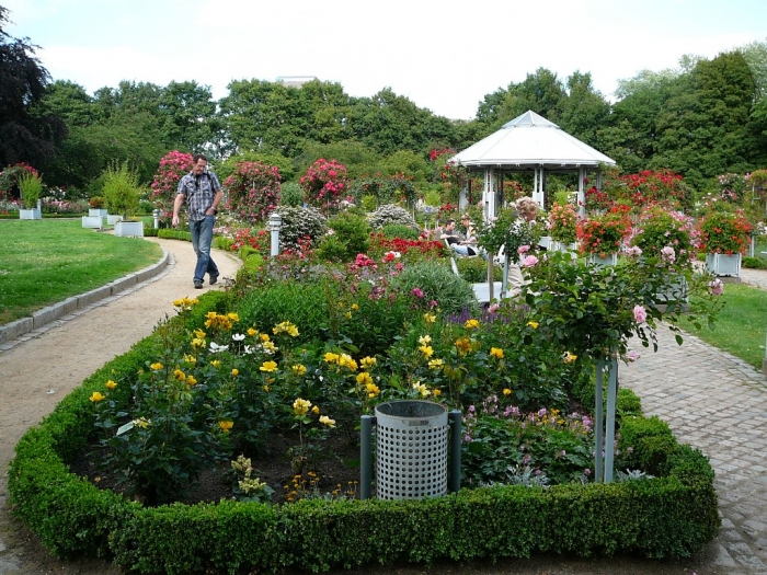 rosarium_hamburg_003.jpg