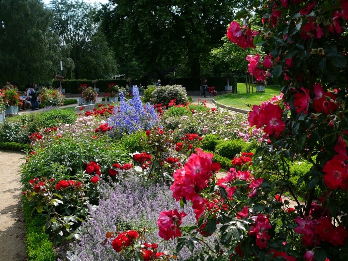 rosarium_hamburg_004.jpg