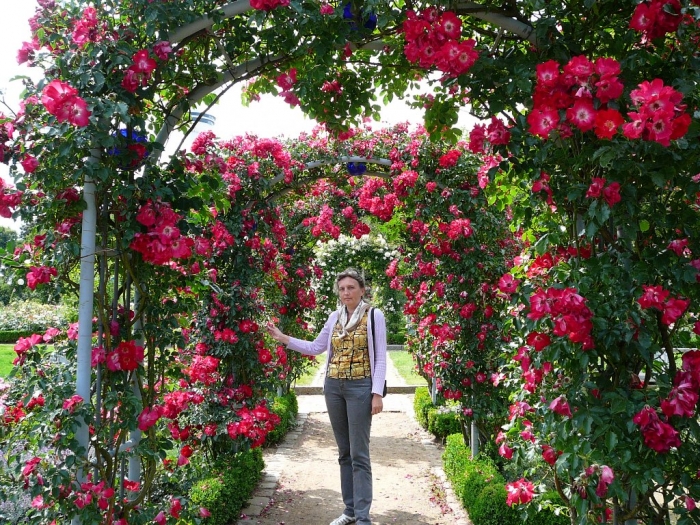 rosarium_hamburg_008.jpg