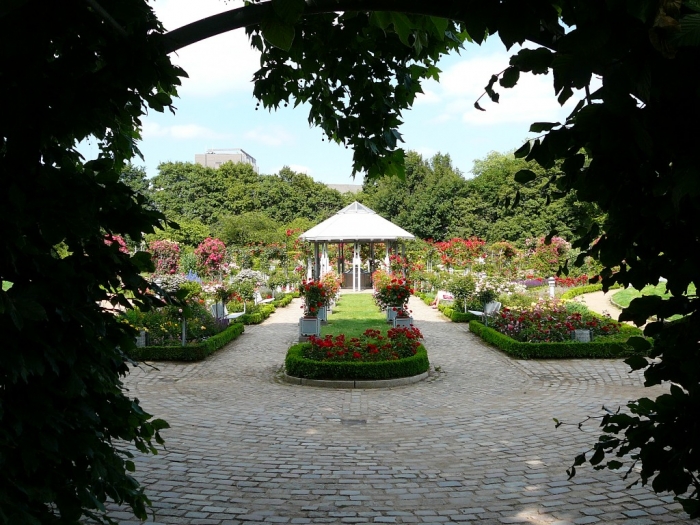 rosarium_hamburg_010.jpg