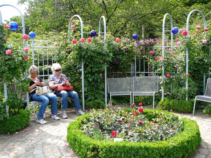 rosarium_hamburg_011.jpg