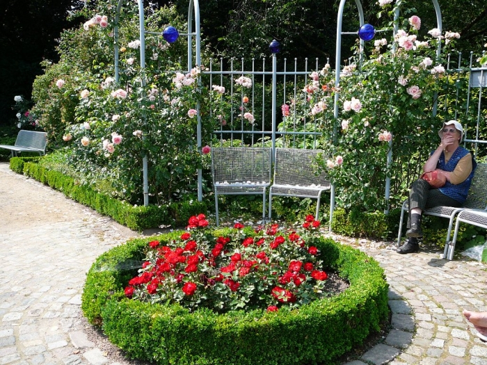 rosarium_hamburg_012.jpg