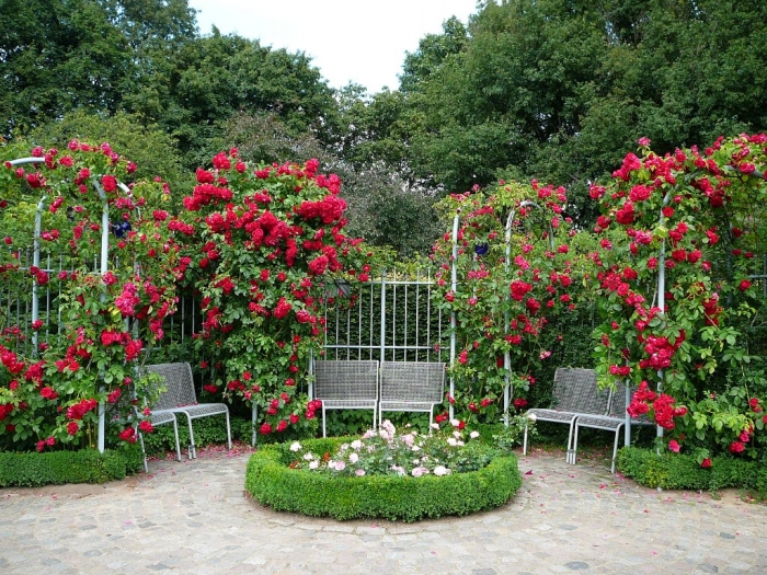 rosarium_hamburg_013.jpg
