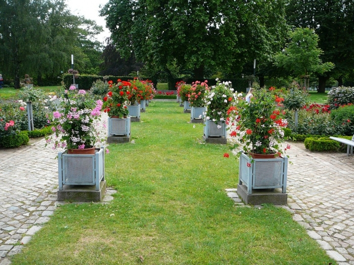 rosarium_hamburg_014.jpg