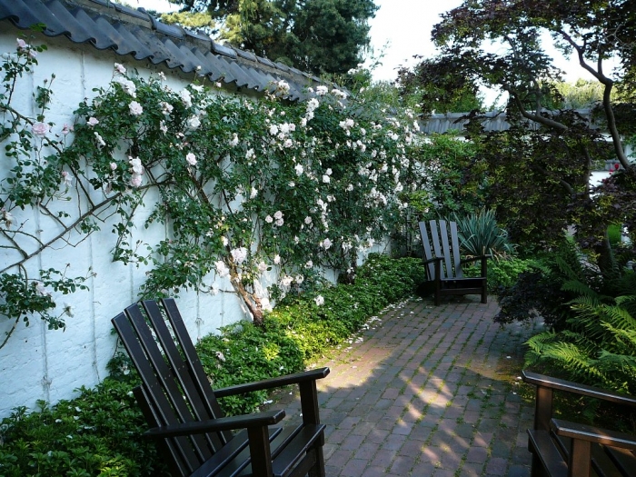 rosarium_hamburg_015.jpg