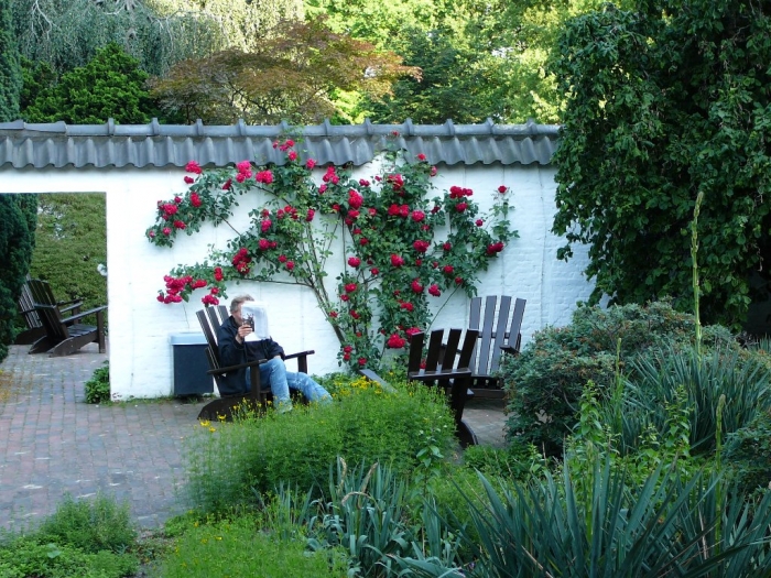 rosarium_hamburg_017.jpg