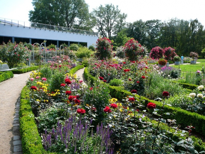rosarium_hamburg_018.jpg