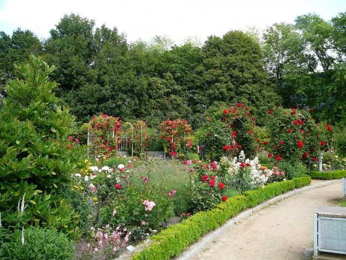 rosarium_hamburg_020.jpg