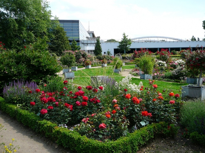 rosarium_hamburg_022.jpg