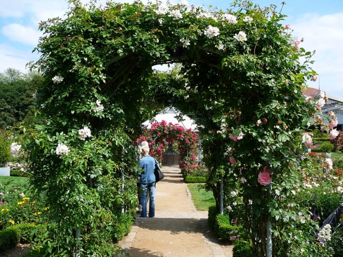 rosarium_hamburg_025.jpg