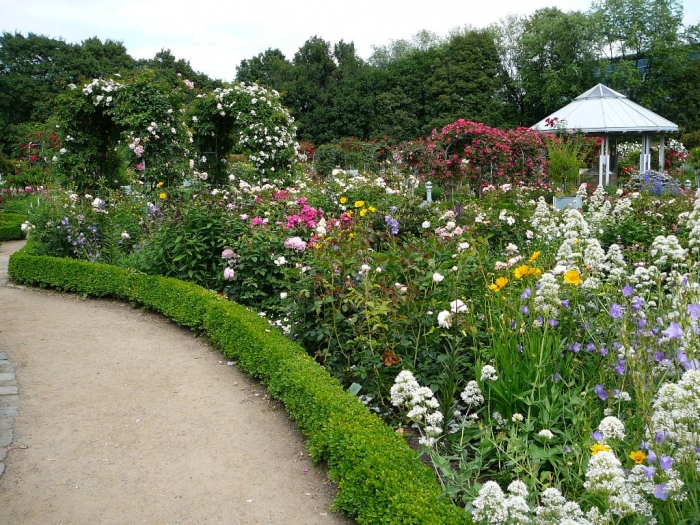 rosarium_hamburg_026.jpg