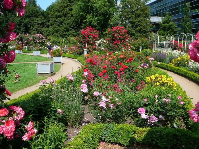 rosarium_hamburg_031.jpg