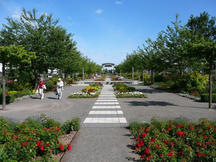 rosarium_sangerhausen_016.jpg