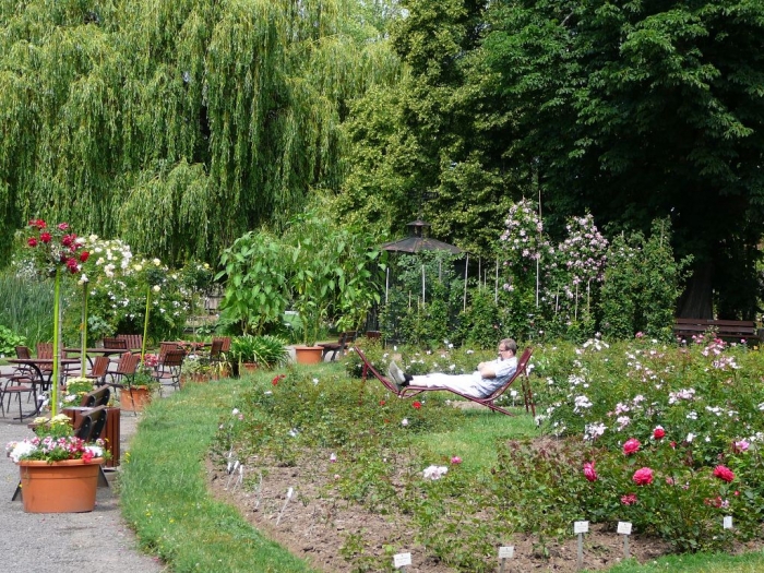 rosarium_sangerhausen_022.jpg