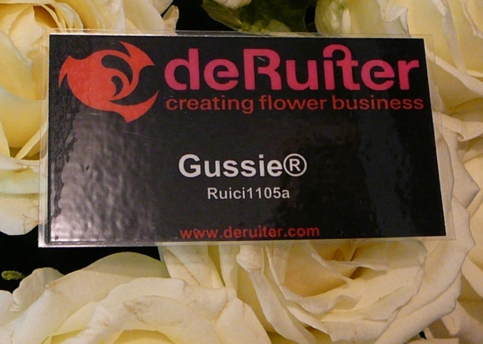 rose_gussie_002.jpg