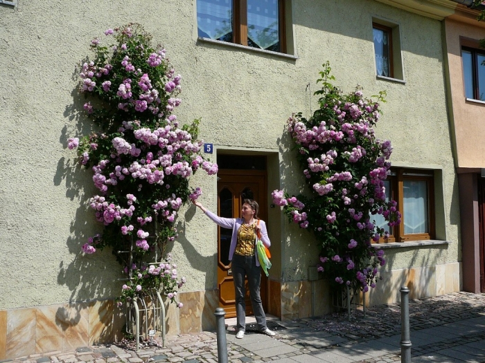 sangerhausen_004.jpg