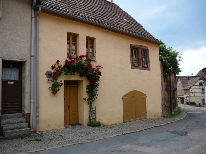 sangerhausen_006.jpg