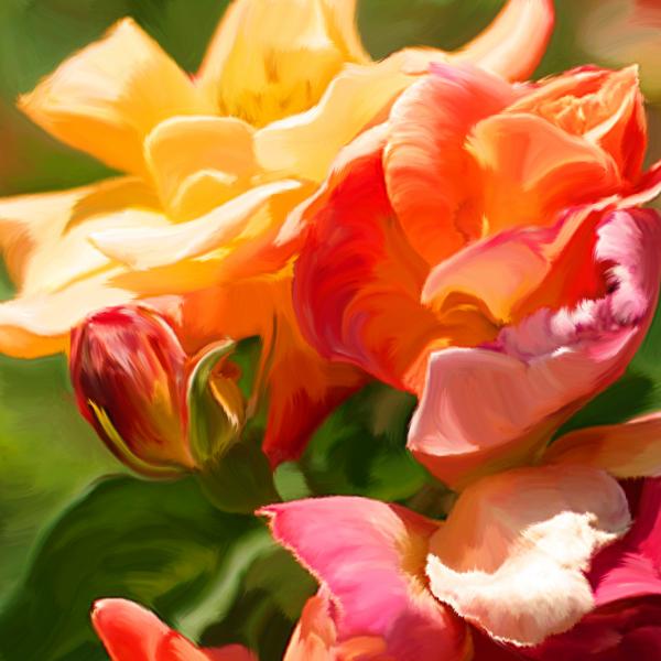 sunshine-roses-sarah-kathleen-peck.jpg