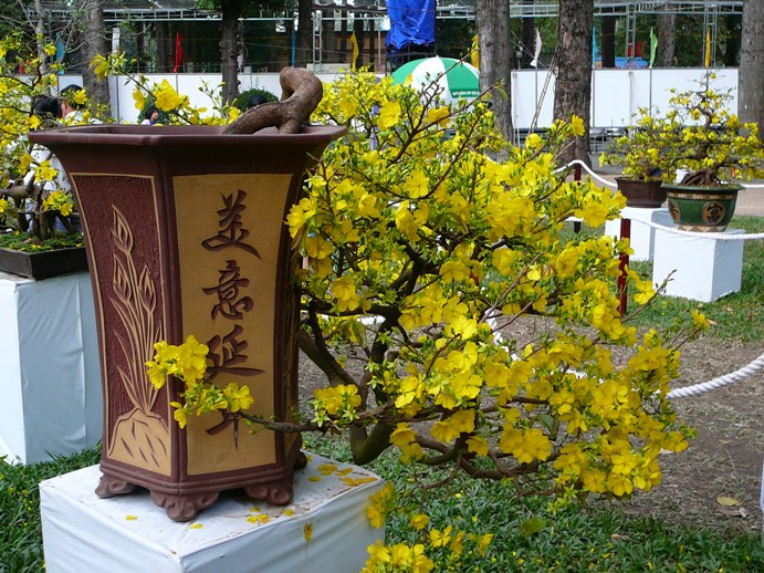 tet_2012.jpg