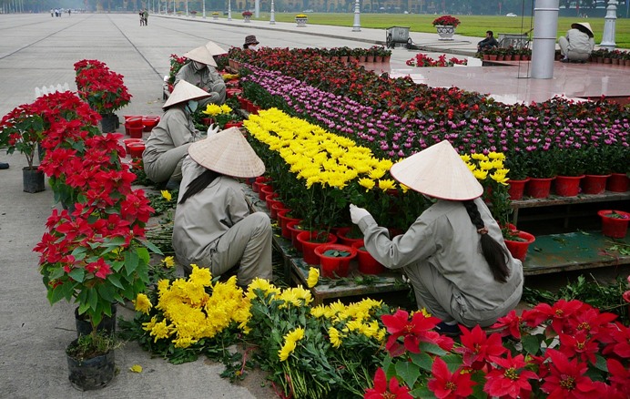 tet_2012_hanoi.jpg