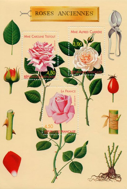 timbres.jpg