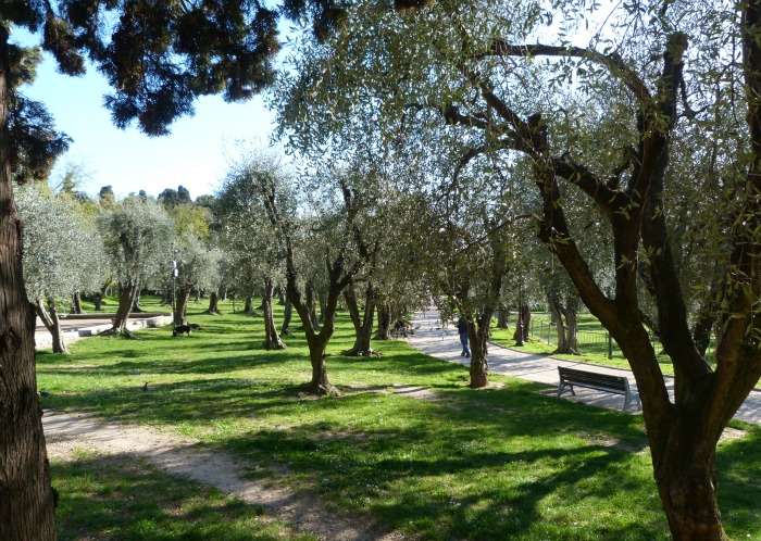 jardin_arena_cimiez_003.jpg