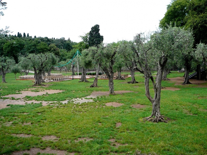 jardin_arena_cimiez_005.jpg