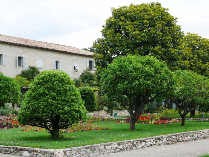 jardin_cimiez_002.jpg