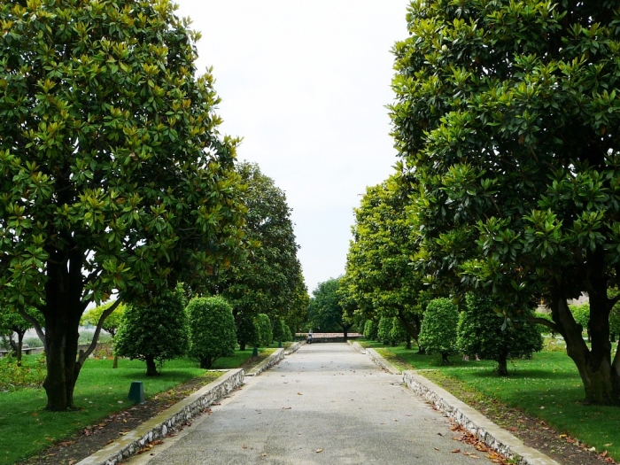 jardin_cimiez_004.jpg