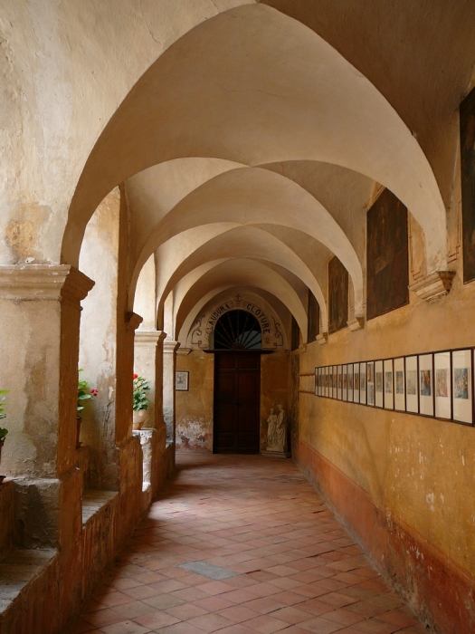 jardin_cimiez_009.jpg