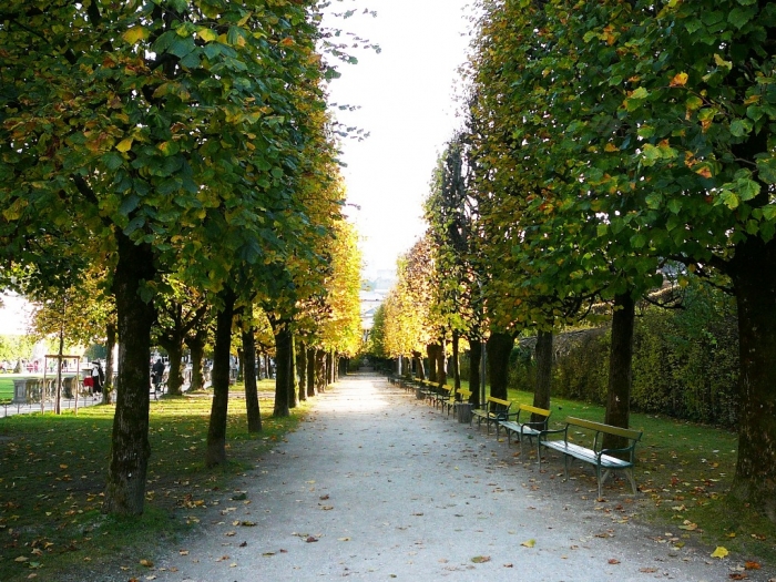 mirabel_017.jpg